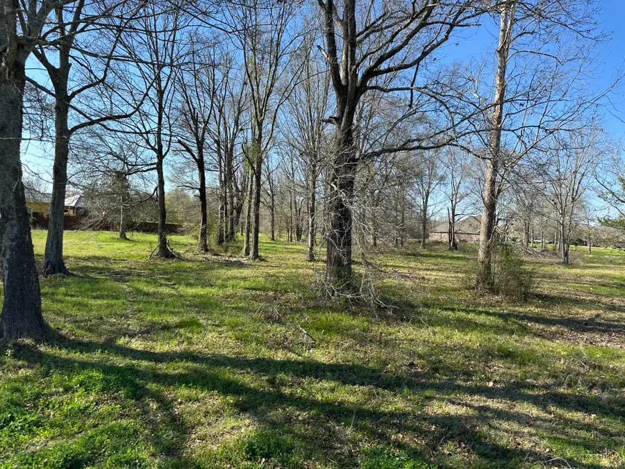 11344 Rosedale Rd, Port Allen, LA 70767 - #3