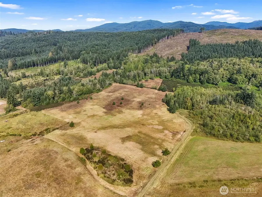 104 Bills Ln, Onalaska, WA 98570 - #3