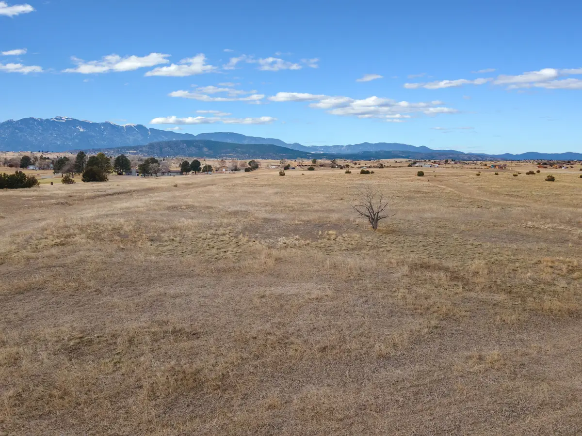 1122 Little Snake Drive, Colorado City, CO 81019 - #1