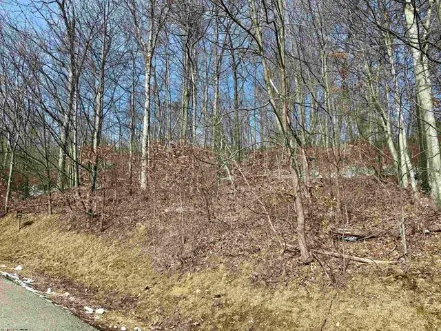 108 Iris Lane, Morgantown, WV 26501 - #3