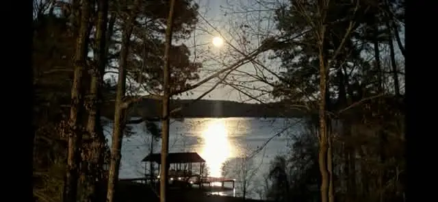 590 Shoreline Drive, Nacogdoches, TX 75964 - #2