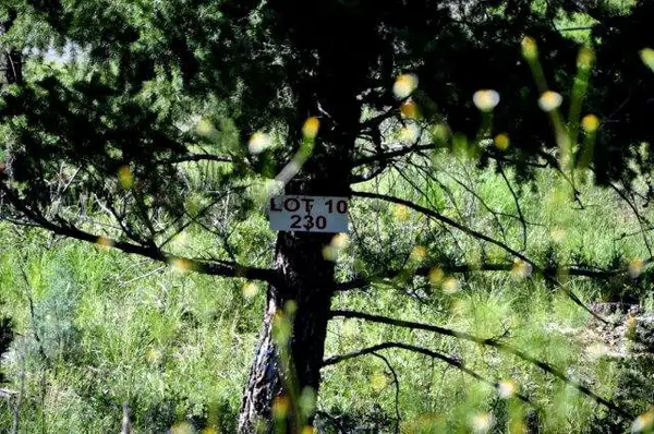 230 Cummings Drive, Ruidoso, NM 88345