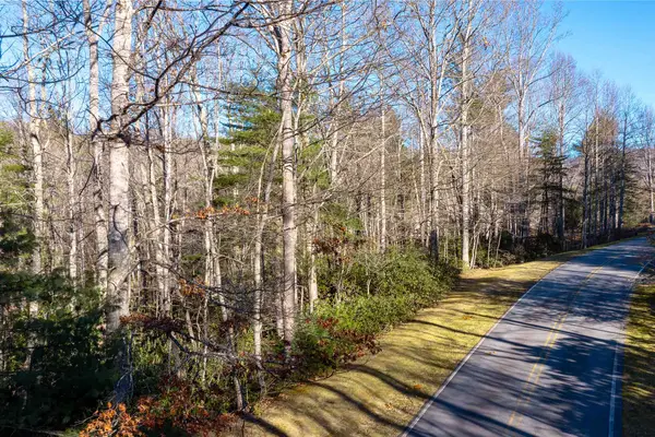 000 Chattooga Run #306, Hendersonville, NC 28739