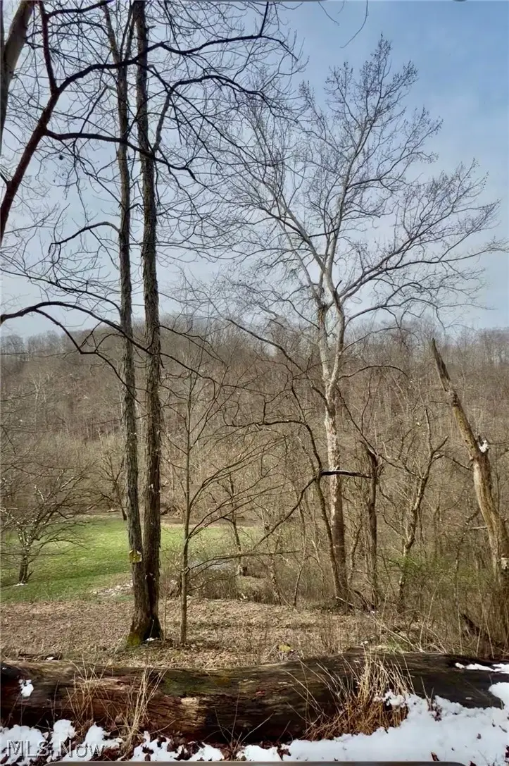 0 Sugar Creek Road, Saint Marys, WV 26170 - #2