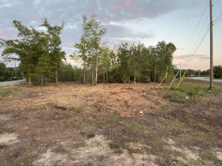 000 Campflowers Road, Youngstown, FL 32466 - #2
