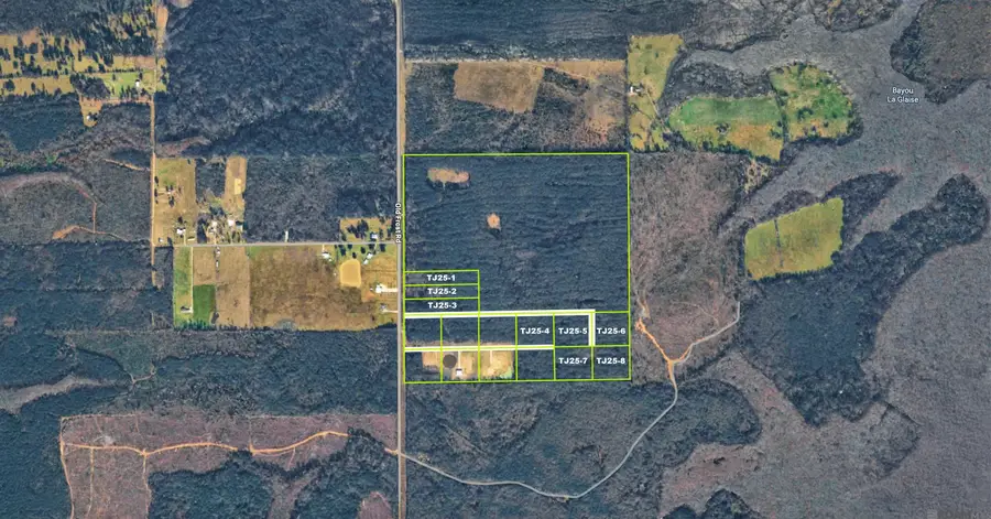 TBD Old Frost Rd, Livingston, LA 70754 - #2