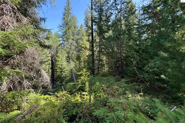NNA Ridge Way, Sandpoint, ID 83864
