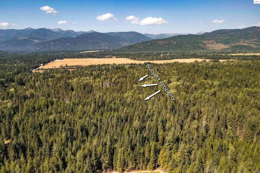 NNA Ridge Way, Sandpoint, ID 83864 - #2
