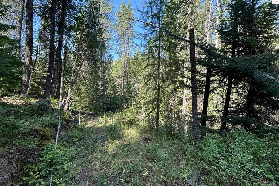 NNA Ridge Way, Sandpoint, ID 83864 - #3
