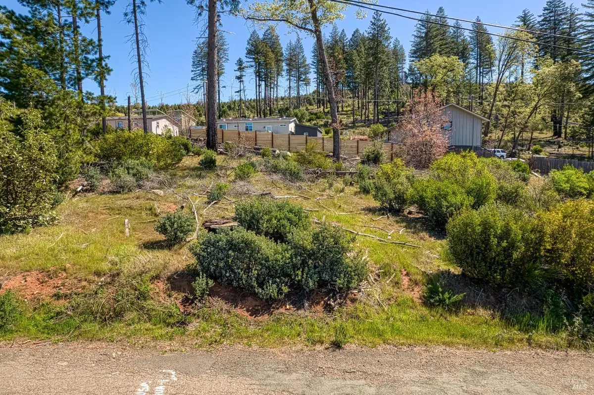 14928 Quail Drive, Cobb, CA 95426 - #1