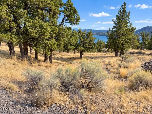 SE Davis Way #TL3900, Prineville, OR 97754