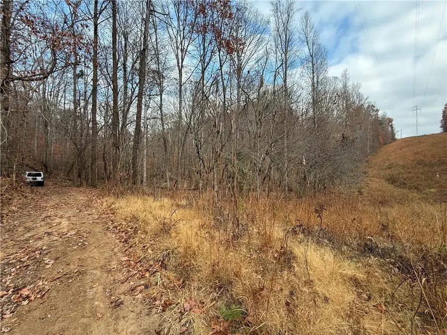 0 Falling Pines Road, Dahlonega, GA 30533 - Image #3