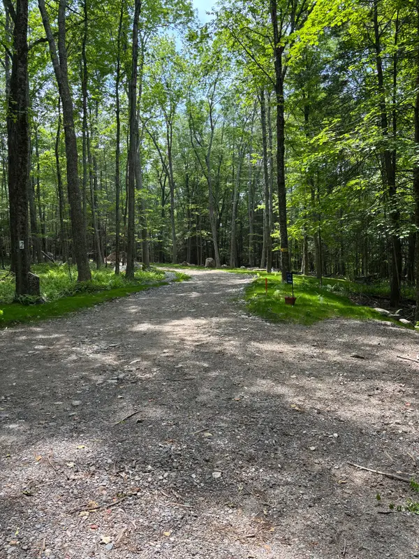 Lot 4 Chalybes Road West, Roxbury, CT 06783