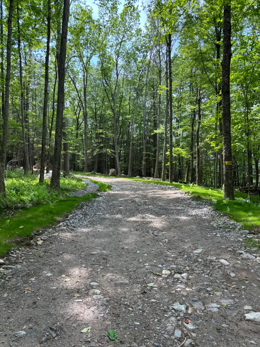 Lot 4 Chalybes Road West, Roxbury, CT 06783 - #2