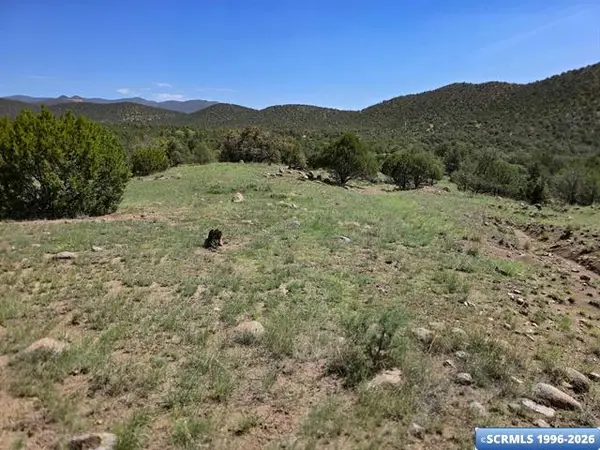 37-X3 Black Dog Road, Silver City, NM 88061