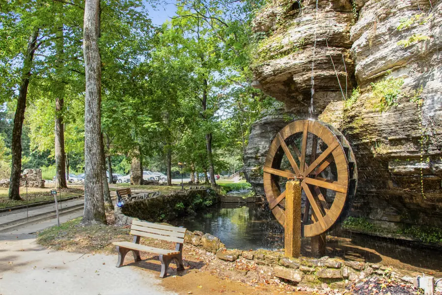 299 Natural Bridge Park Rd, Waynesboro, TN 38485 - #2