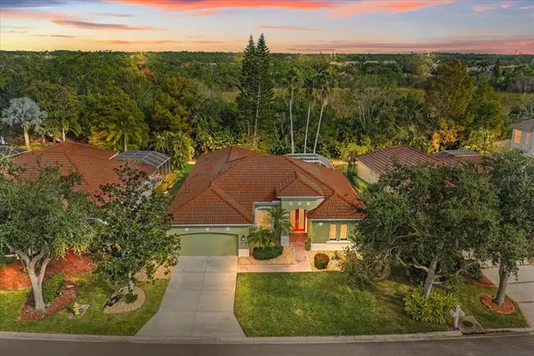 6619 Pinefeather Court, BRADENTON, FL 34203