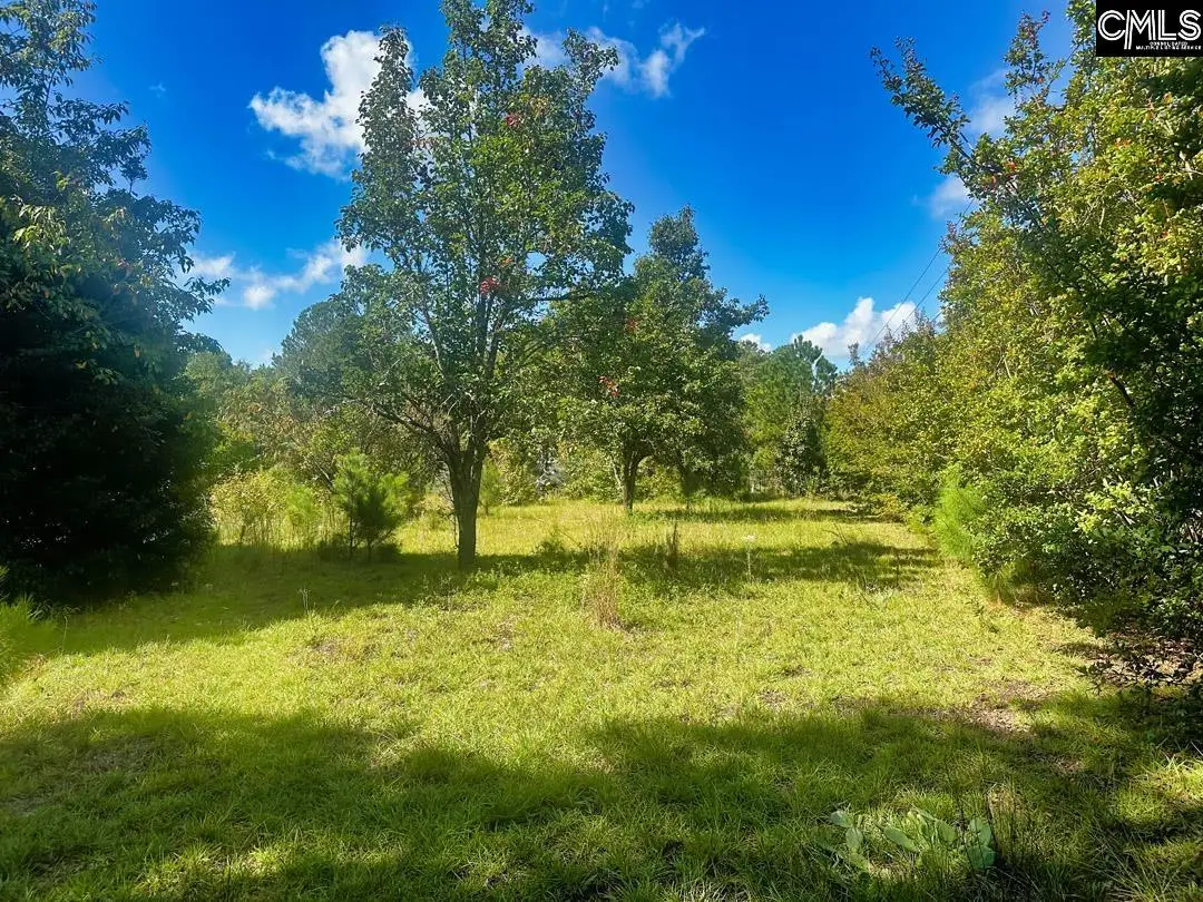 1392 Boiling Springs Road, Lexington, SC 29073 - #1
