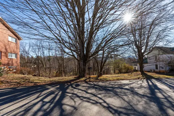 TBD Chestnut Street, Mars Hill, NC 28754