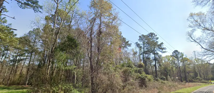 TBD Old Wilson Rd., Longs, SC 29568 - #3