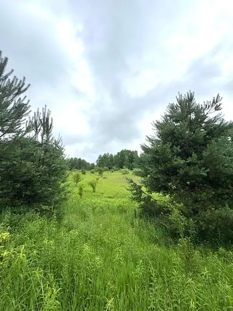 00 Hewitt, Tustin, MI 49688 - #1