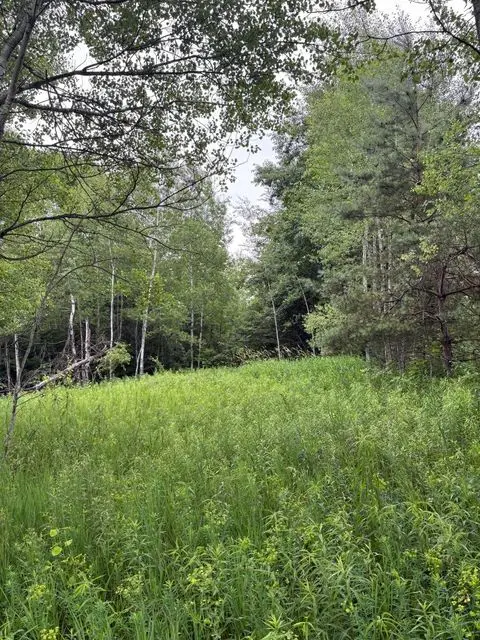00 Hewitt, Tustin, MI 49688 - #3