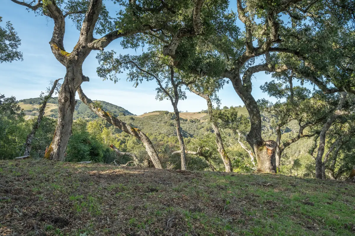 5 Vasquez (lot 170) Trail, Carmel, CA 93923 - #1