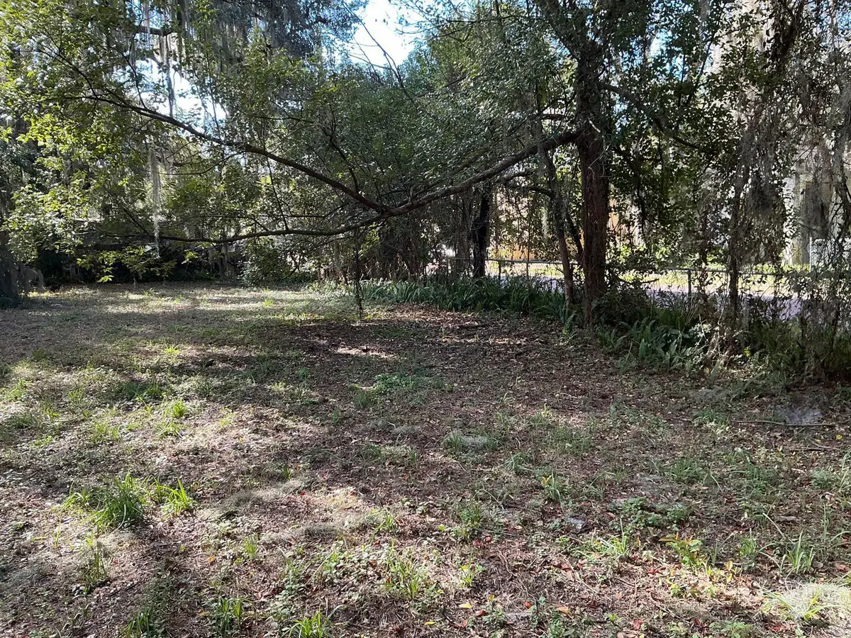 117 Nellie Street, Palatka, FL 32177 - Image #1