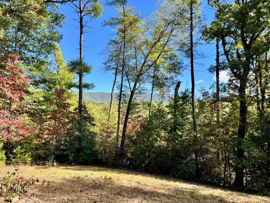 12.64 AC Harrison Sluder Road, Ellijay, GA 30540 - Image #3