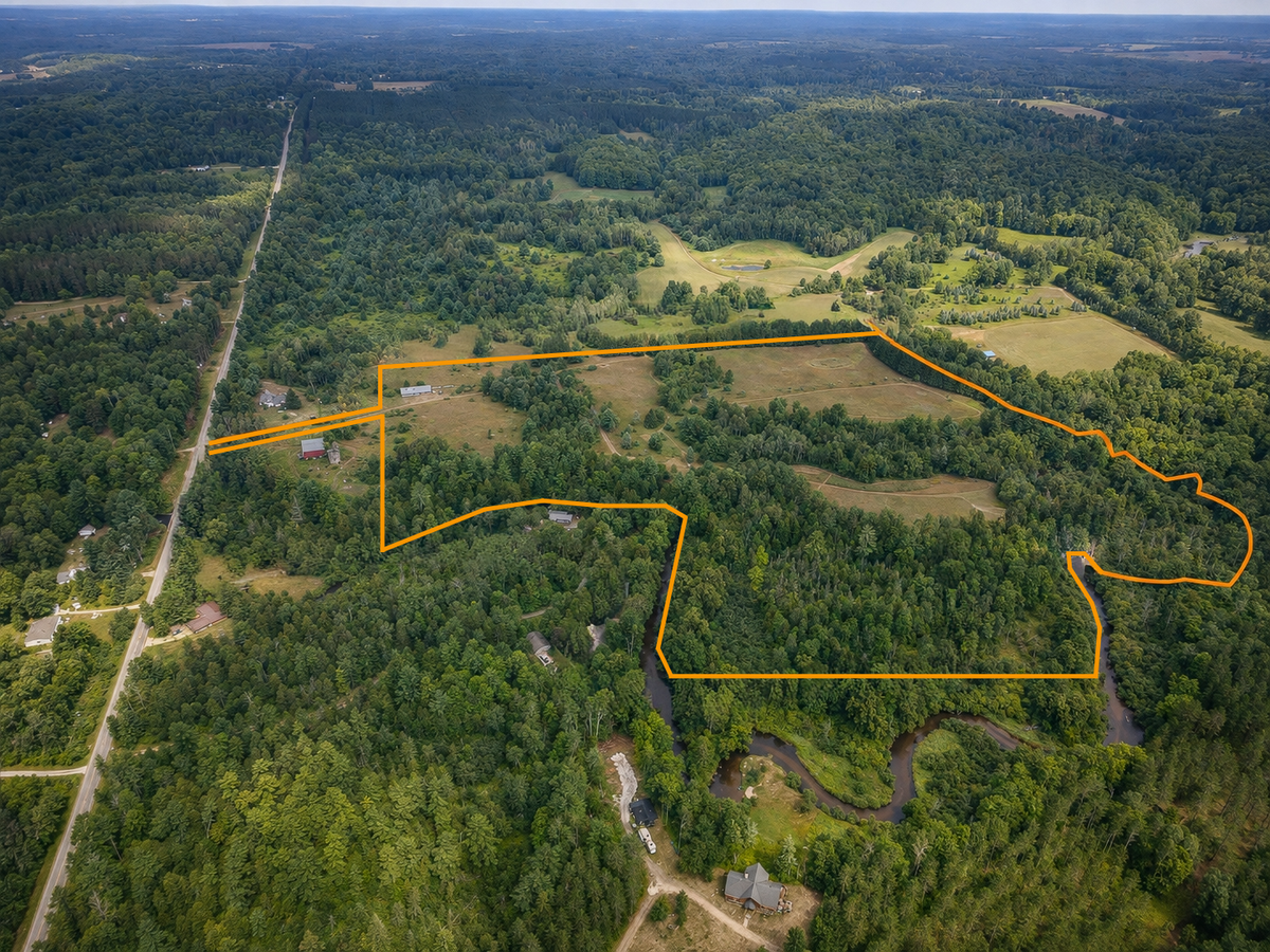 5118 N Raymond Road, Luther, MI 49656 - #1