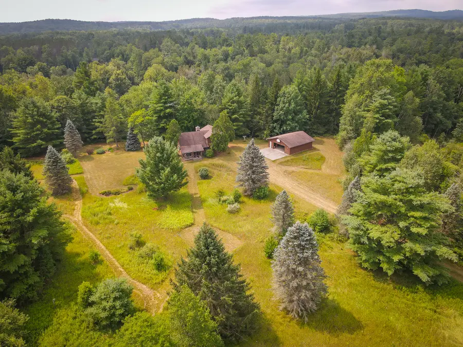 5118 N Raymond Road, Luther, MI 49656 - #3