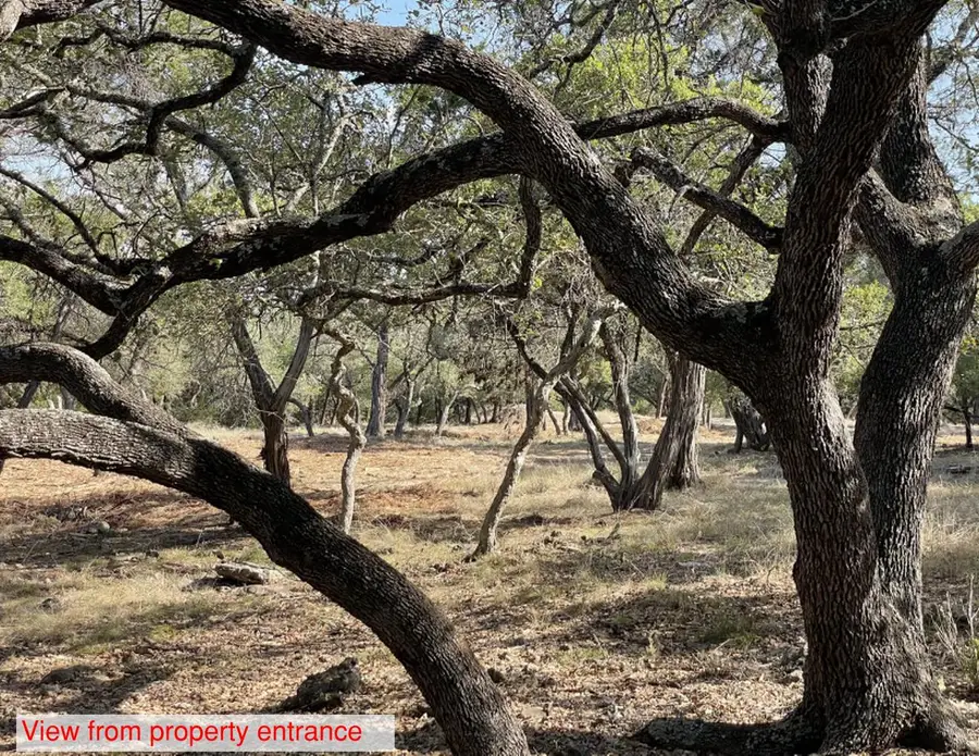 242 Landons Way, Georgetown, TX 78633 - #3