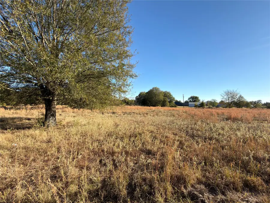 LOT 20 Tbd Pr 44005, Blossom, TX 75416 - Image #2
