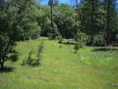 13 Beloved Way, Dobbins, CA 95935 - Image #1