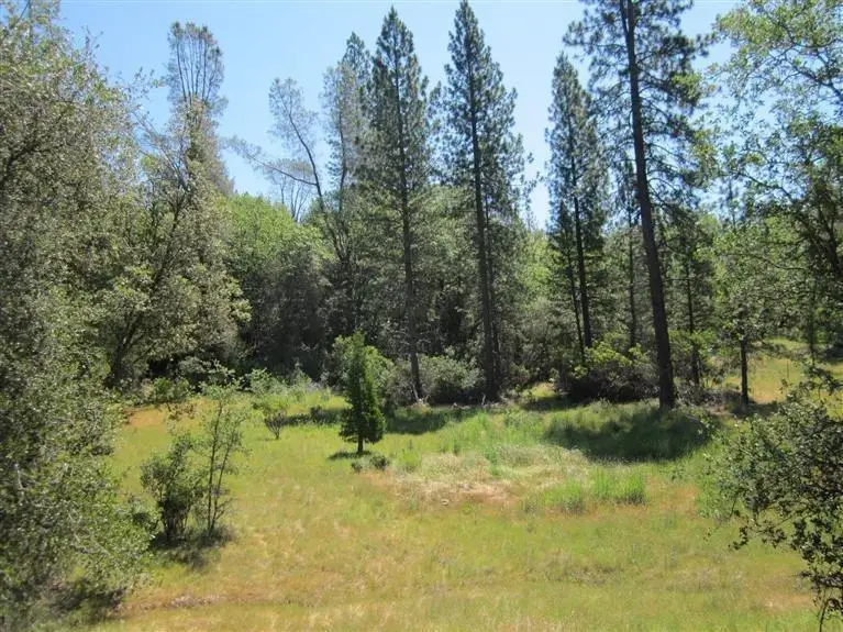 13 Beloved Way, Dobbins, CA 95935 - Image #2