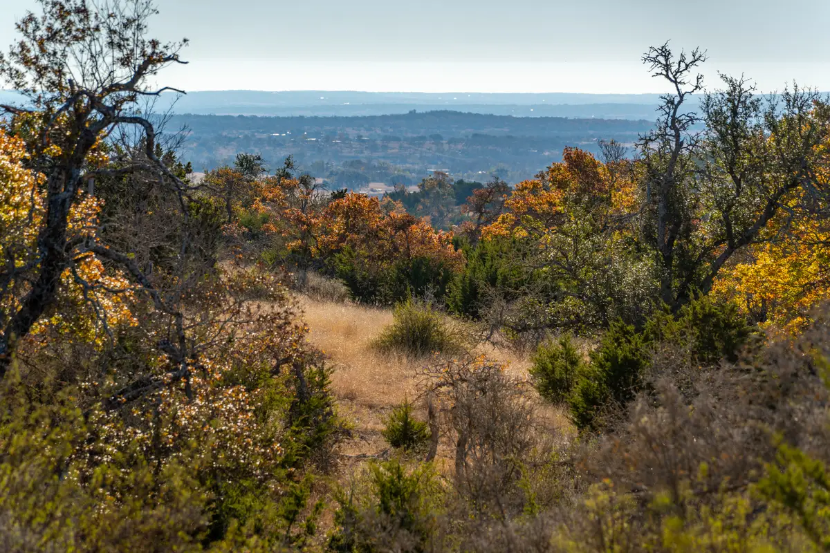 196 Hermit Hill Rd, Fredericksburg, TX 78624 - Image #1