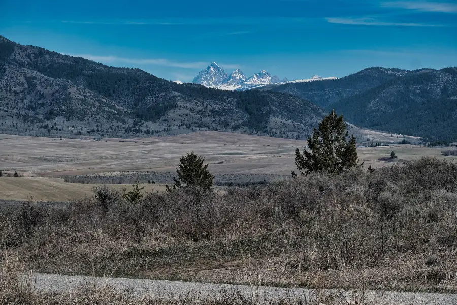 TBD Wagon Road, Swan Valley, ID 83449 - #2