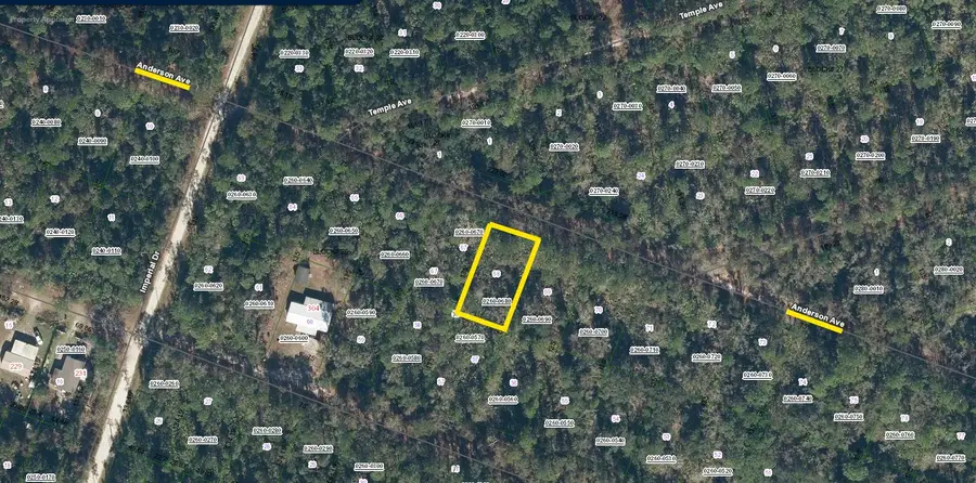 211 Anderson Avenue, Crescent City, FL 32112 - #2