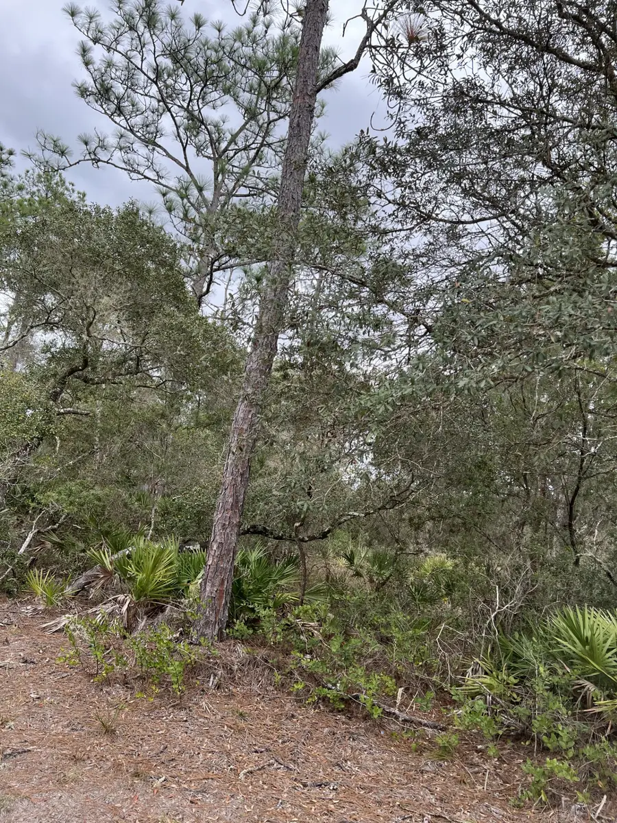 0 NE 144th Court, Fort McCoy Anthony, FL 32134 - #3