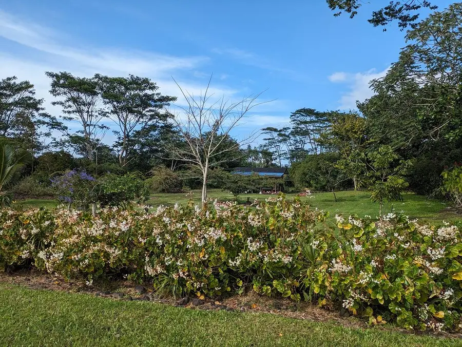 6th Ave, Keaau, HI 96749 - Image #2