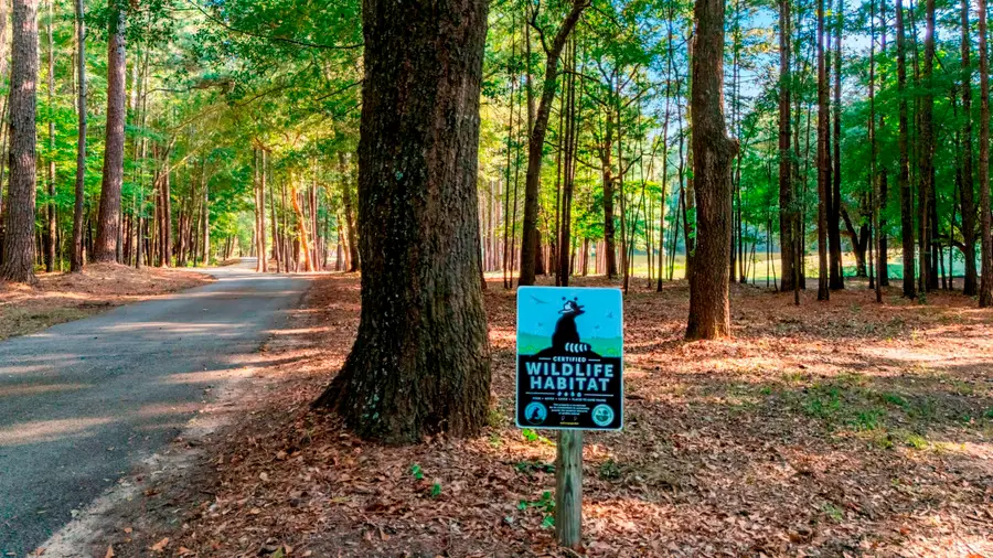 11161 Fm 344 W, Bullard, TX 75757 - Image #3