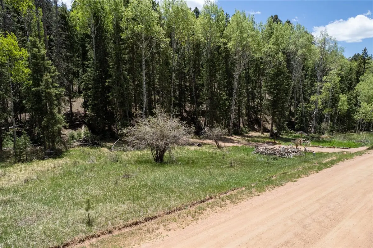 546 Spring Valley Lane, Florissant, CO 80816 - #1