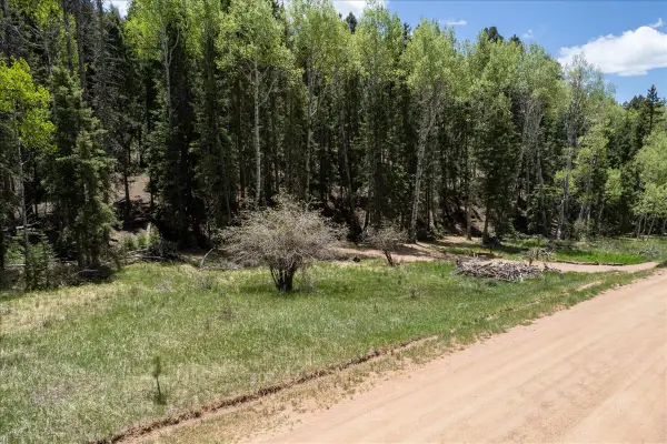 546 Spring Valley Lane, Florissant, CO 80816