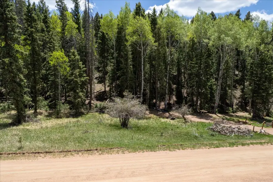 546 Spring Valley Lane, Florissant, CO 80816 - #3