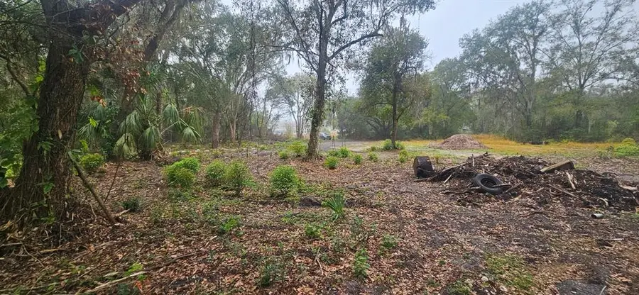 Pevetty, Plant City, FL 33563 - Image #3