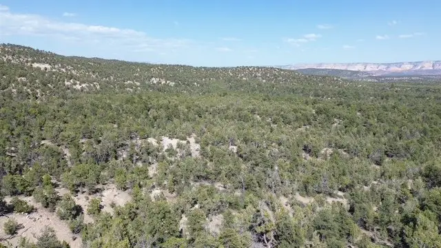 Mile 51 Highway 9 East Zion 40 Acres, Orderville, UT 84758 - #2