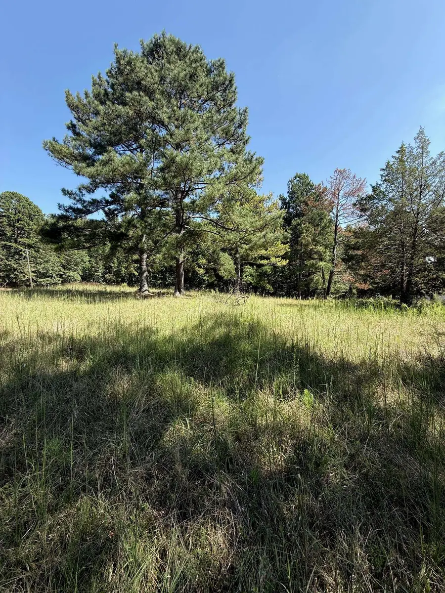 0 Water Mill Road, Cowpens, SC 29330 - Image #2