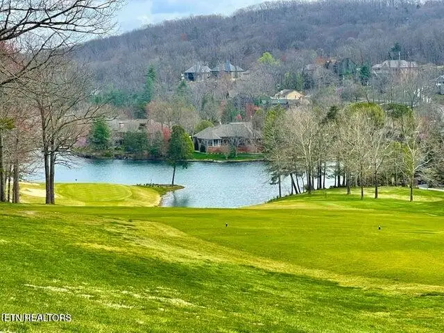 24 Chipman Court, Crossville, TN 38558 - #3