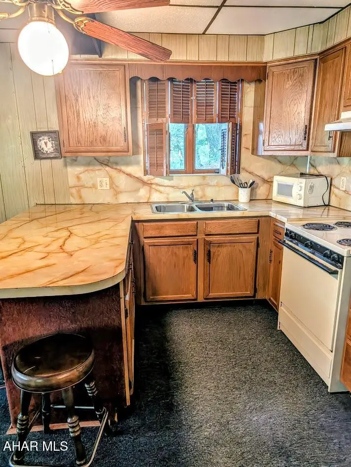 198 Blue Knob Road, Portage, PA 15946 - #3