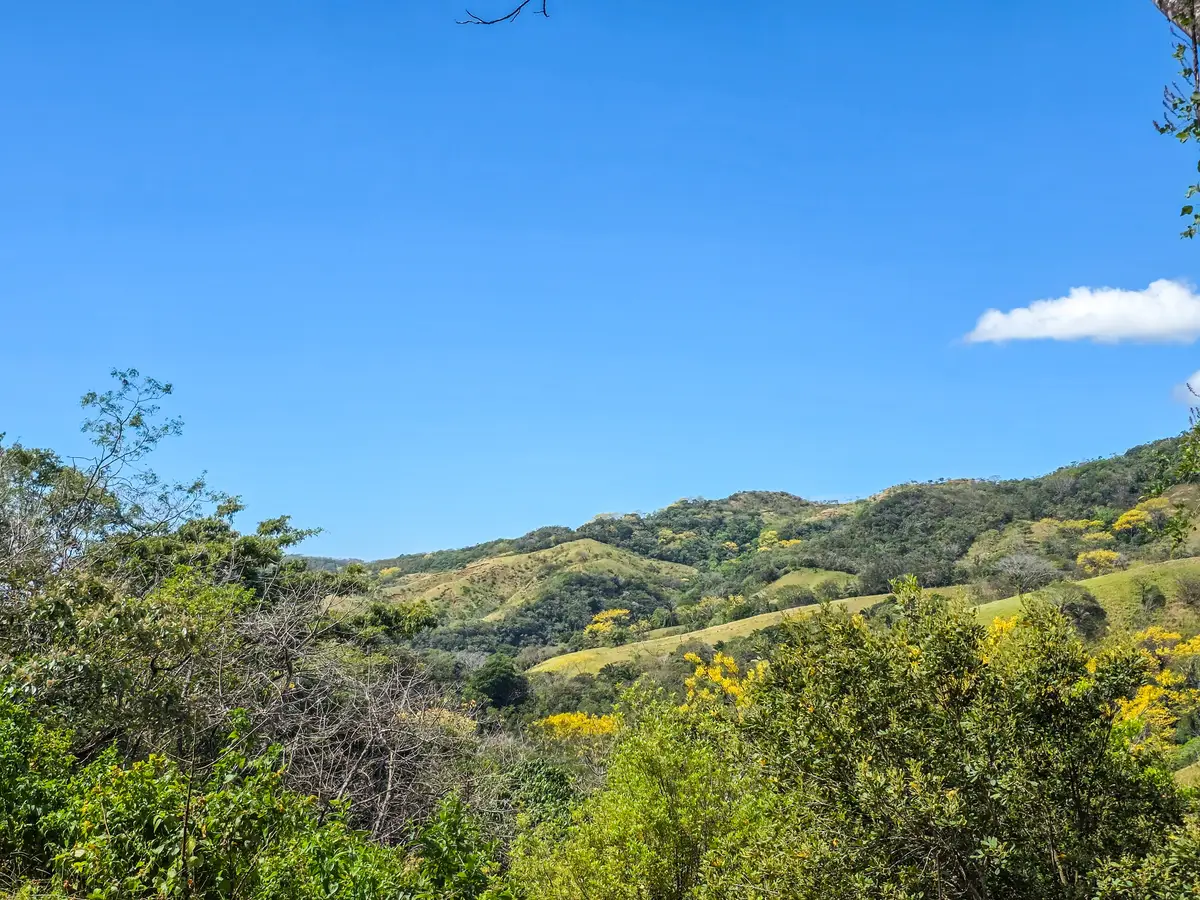 Address Withheld By Seller, Silver City, NM 88061 - #1